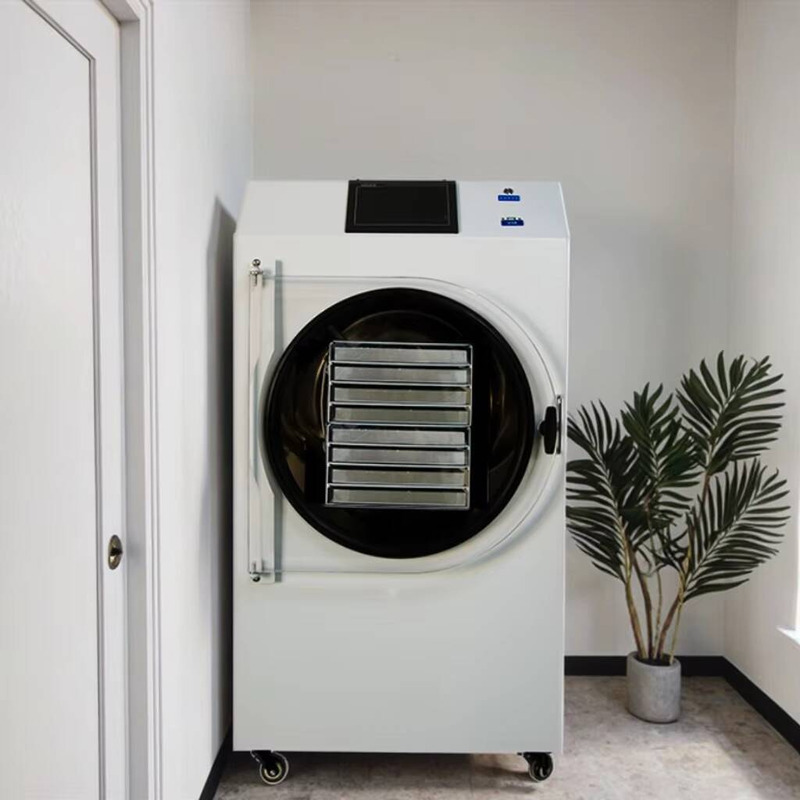 Automatic PLC-Controlled Dryin - đánh giá và giá Dried Fruit