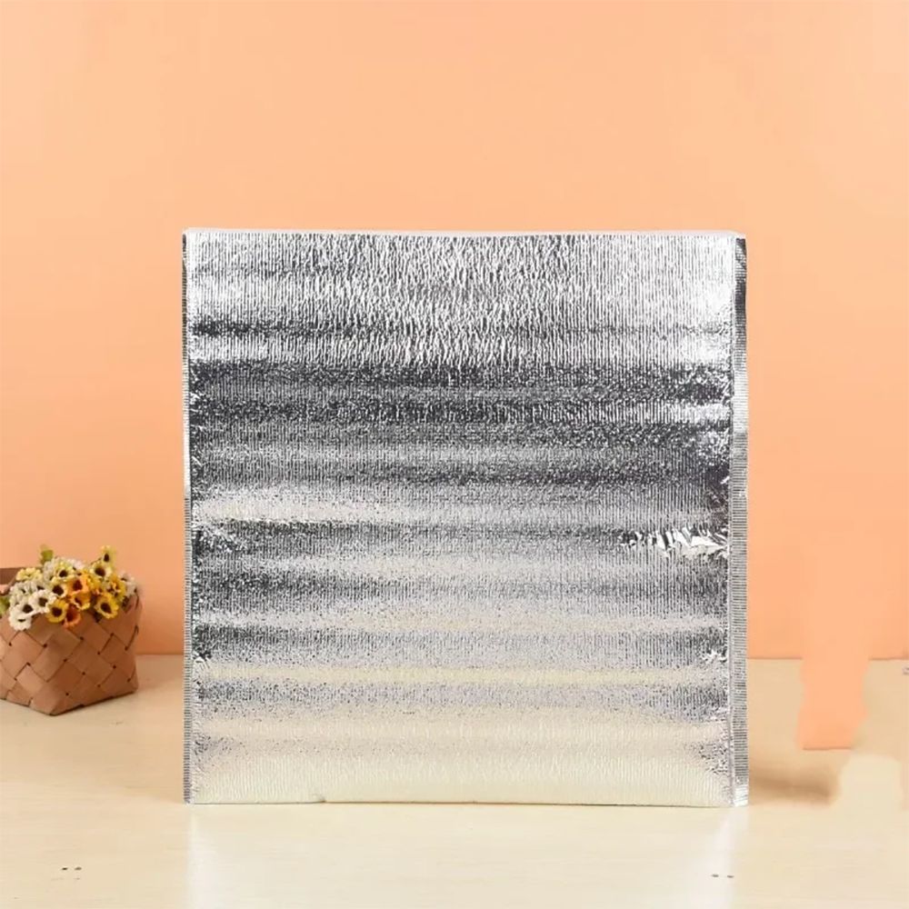 Aluminum Foil Cooler Bag Insul - đánh giá và giá Food Snacks Delivery