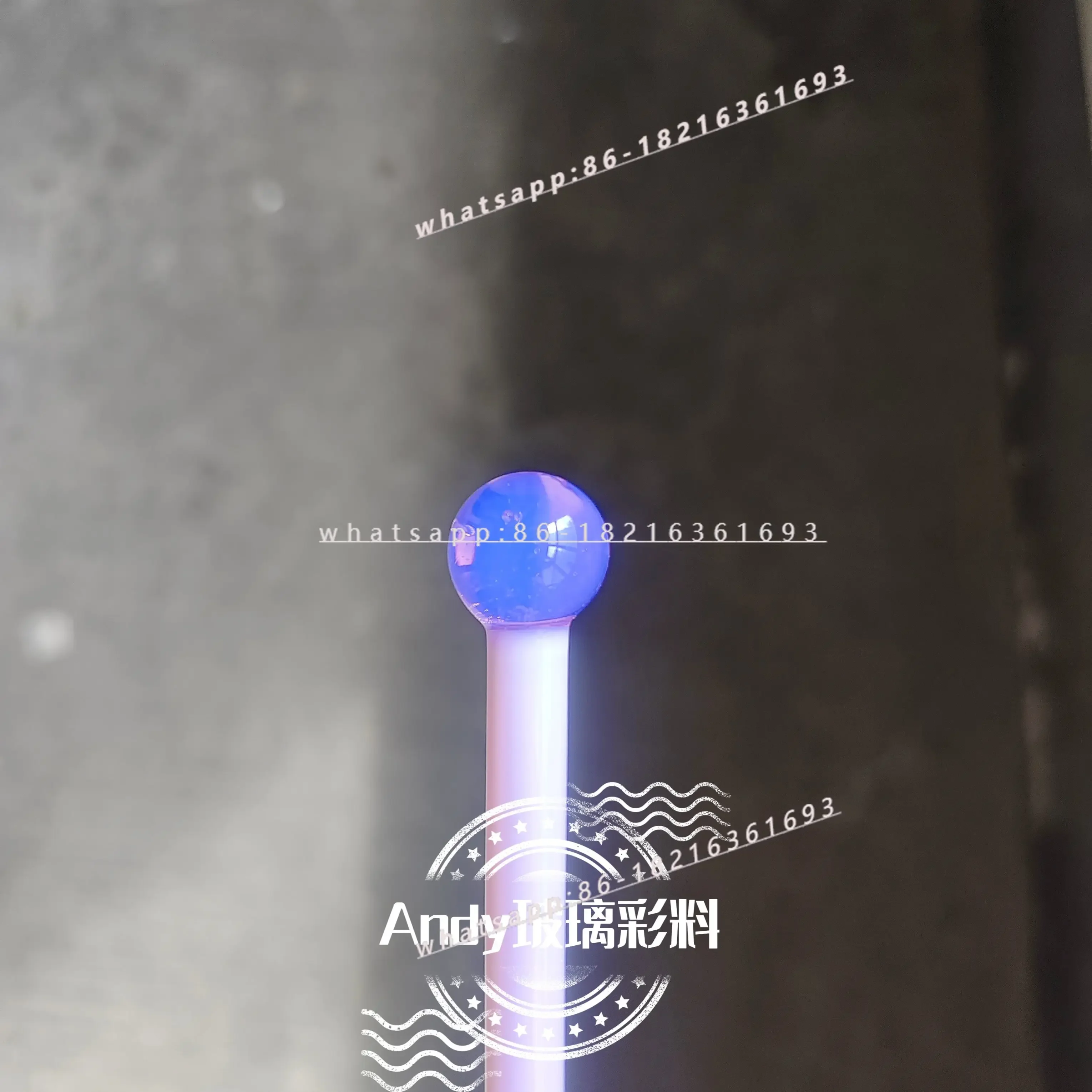 2026GOOD B11 Crystal Purple Pr - đánh giá và giá Protein Bar