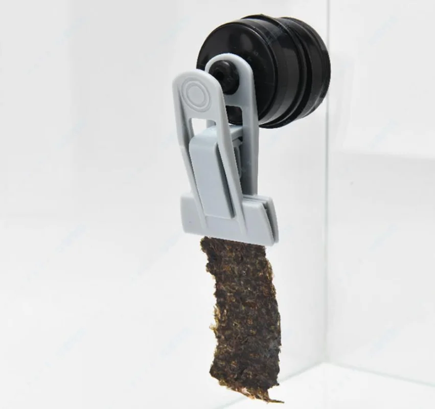 VastOcean Veggie-Mag Feeding C - đánh giá và giá Seaweed Snack